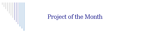 Project of the Month