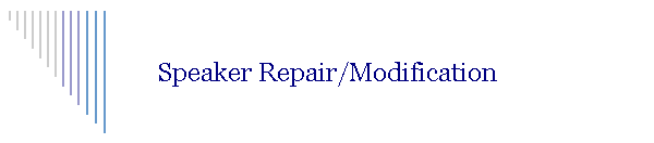 Speaker Repair/Modification
